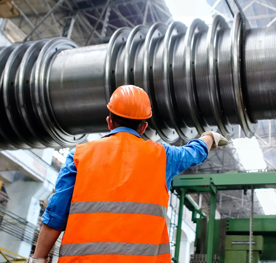 What Makes Us Special